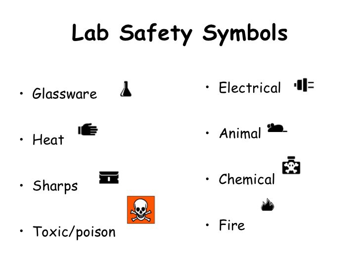 Lab Safety Symbols Worksheet Worksheets For All