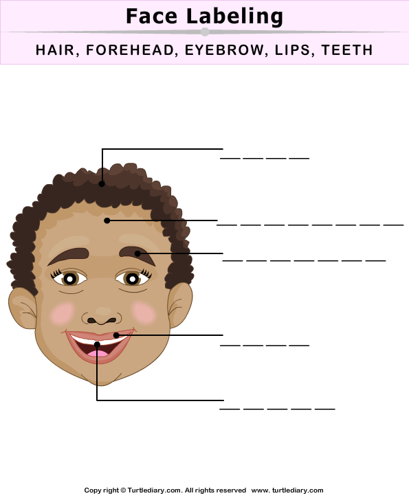 Label Face Parts Worksheet