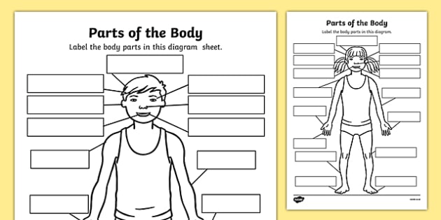 Parts Of The Body Labelling Worksheet
