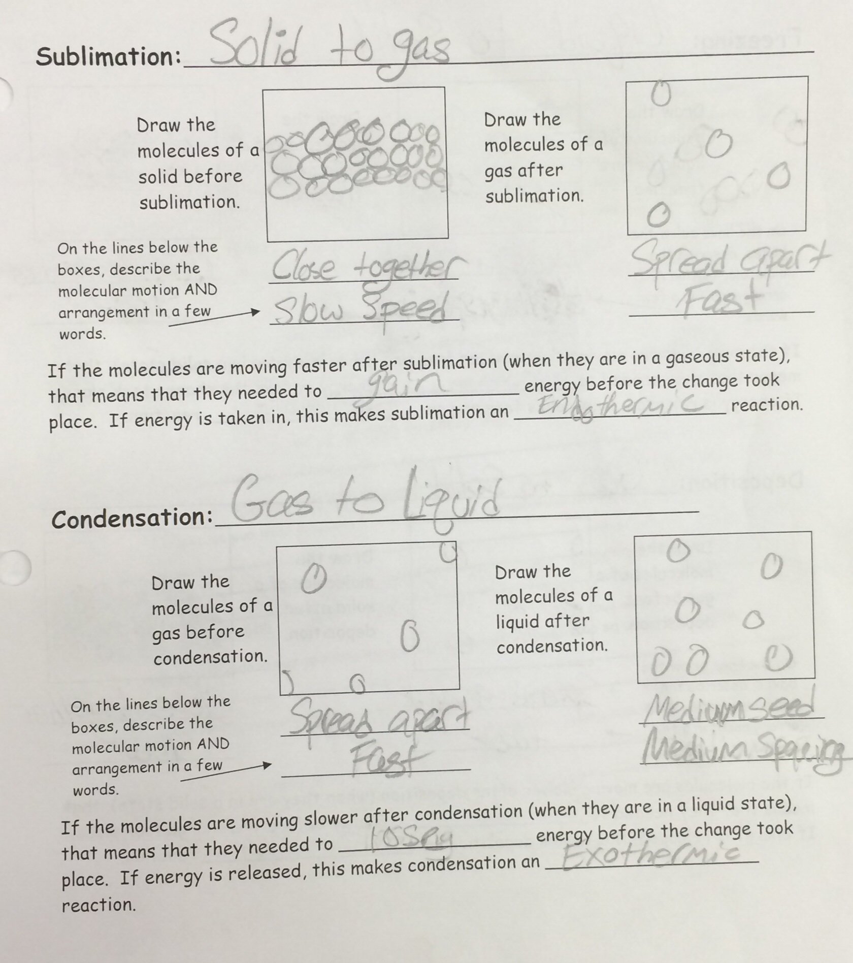 Phase Changes Worksheet Google Docs | Free Worksheets Samples