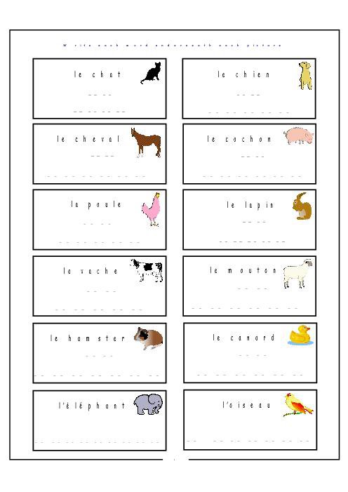Seventh Grade French Worksheets