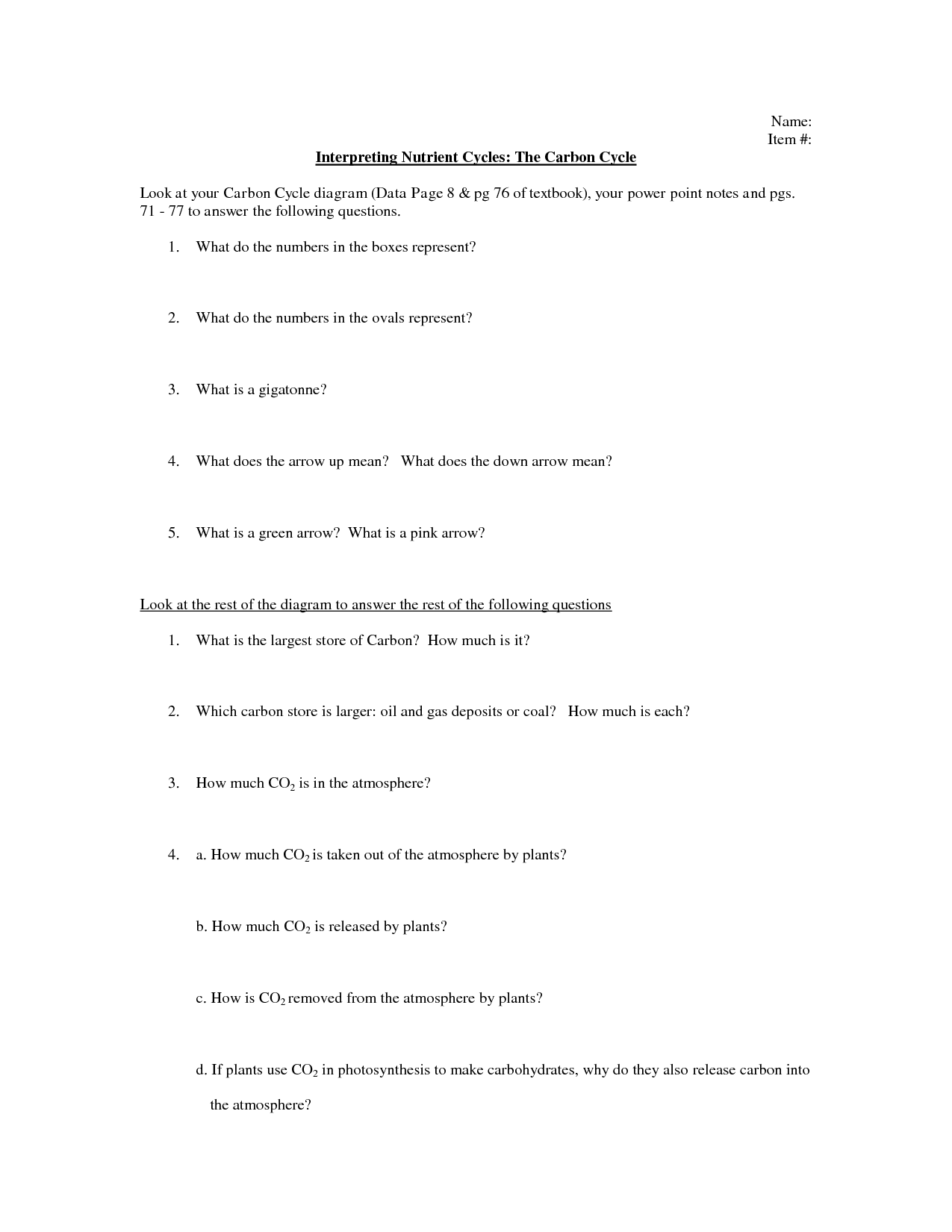 The Nitrogen Cycle Worksheet Answers