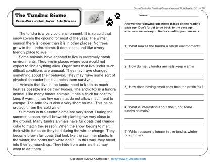 The Tundra Biome