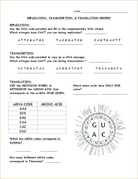 Transcription And Translation Worksheet Dna Replication Coloring Free Transcription And Translation Worksheet Dna Replication Coloring Free