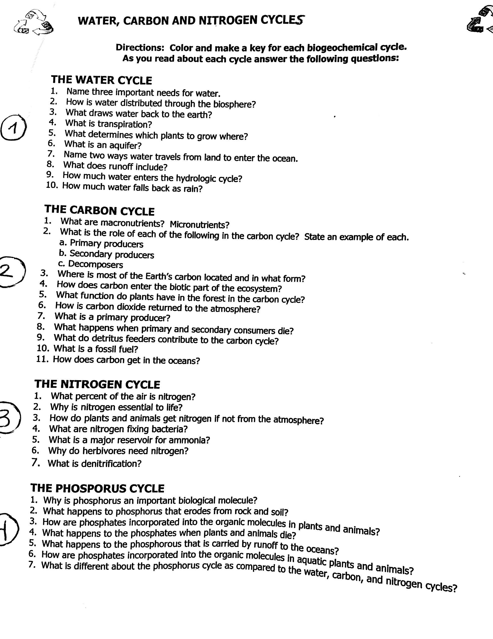 Water Carbon And Nitrogen Cycle Worksheet Answers