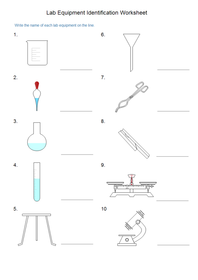 Worksheet On Identifying Lab Equipment