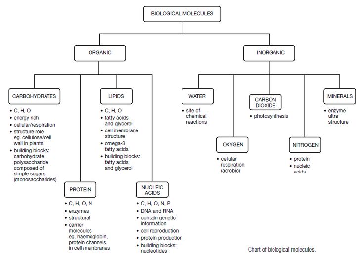 52 Best Biology Materials
