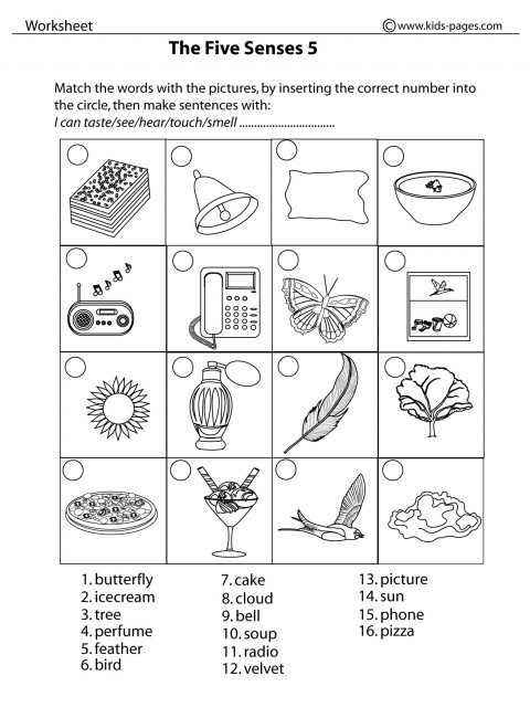 5 Senses Printable Worksheets The Best Worksheets Image Collection
