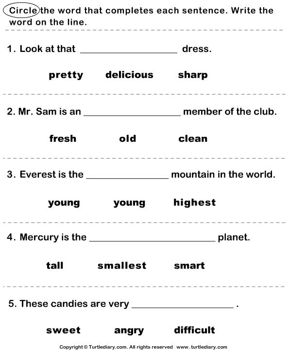 Adjective Worksheets Circle The Correct Adjective Worksheet Turtle