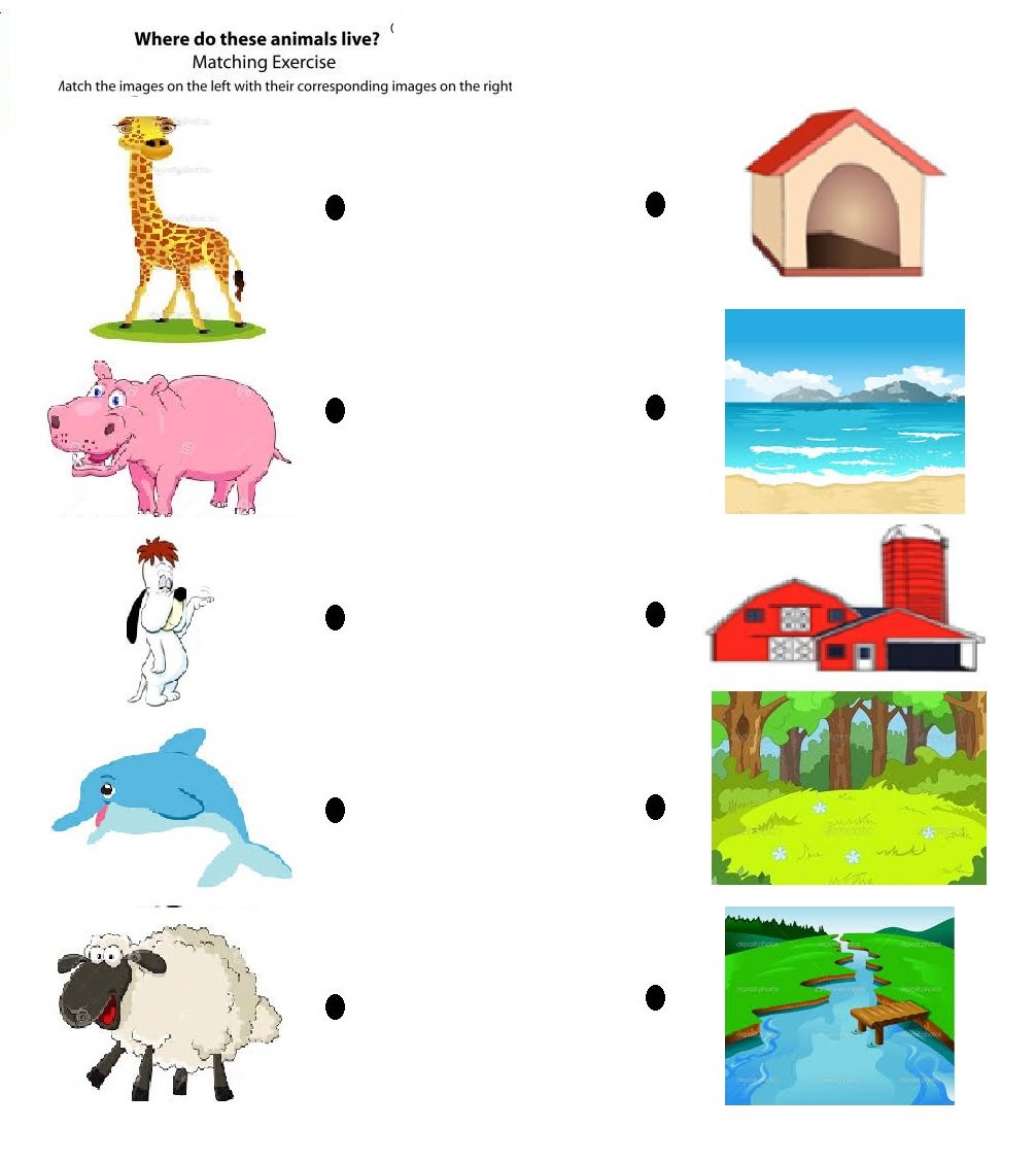 Animal Habitat Worksheets For Kindergarten 128945
