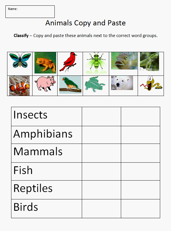 Animal Kingdom Worksheets For Grade 4