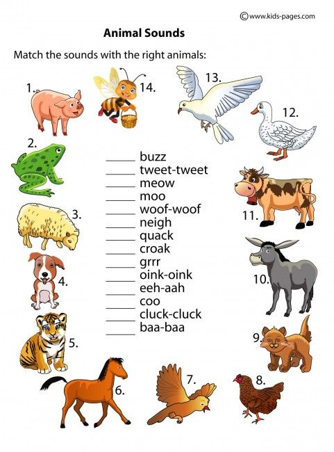 Animal Sounds Worksheets