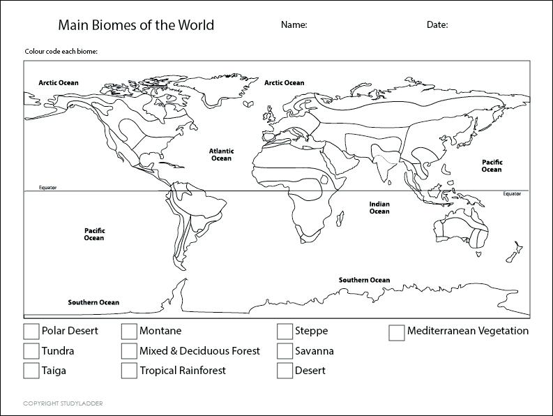Biome Map Coloring Worksheet Kids Coloring Coloring Pages â Yidam Info