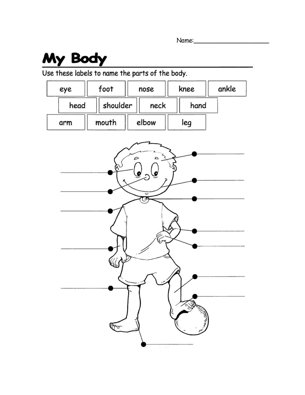 Body Labelling Worksheet