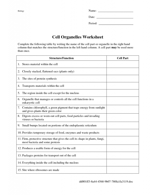 Cells And Organelles Worksheet Cell Organelles Worksheet Cell