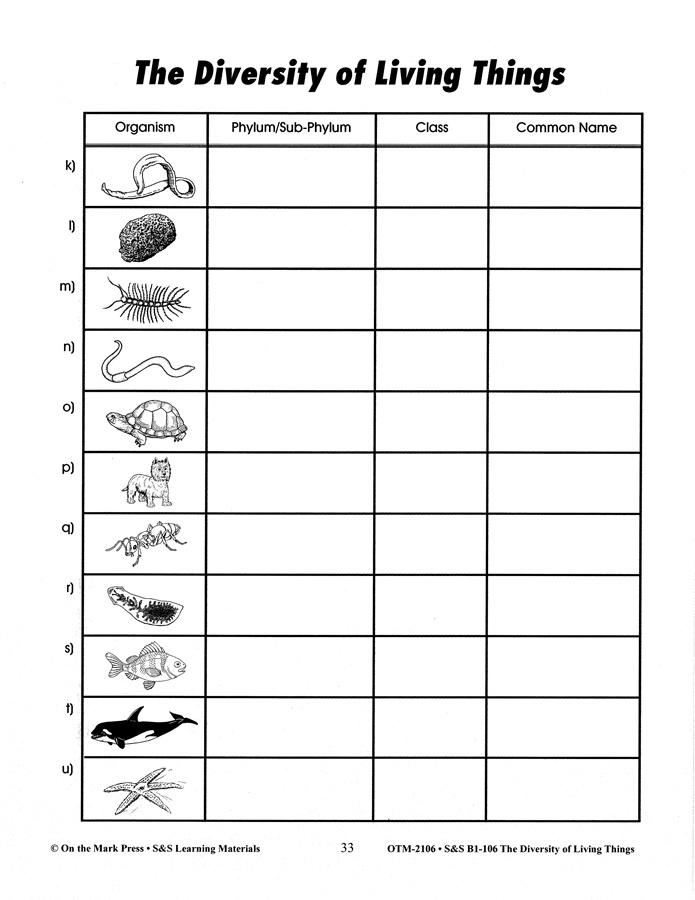 Classification Worksheet For 5th Grade