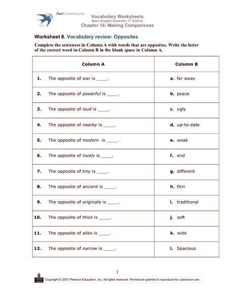 Classy Worksheets For Basic English Grammar With Additional Free
