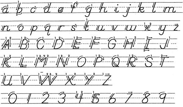 D Nealian Handwriting Worksheets Printable 681422