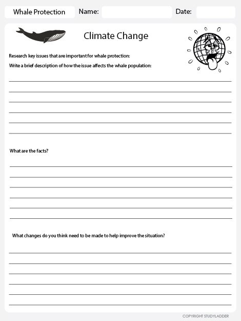 Environmental Issues  Climate Change Worksheet, Theme Based