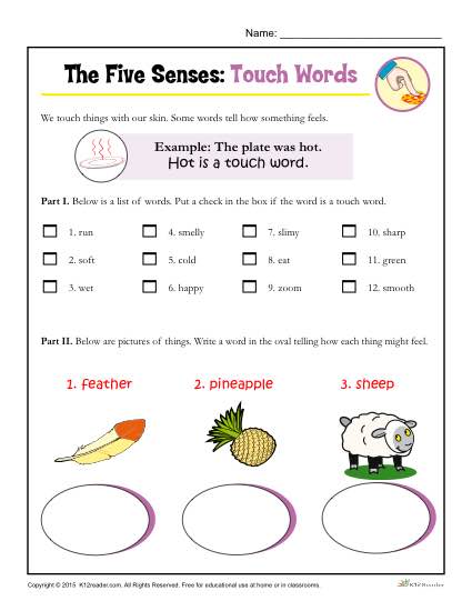 Five Senses Activity For Kindergarten And 1st Grade