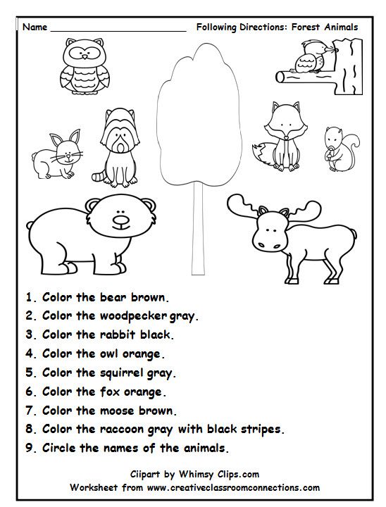Following Directions Is Fun With This Delightful Forest Animal