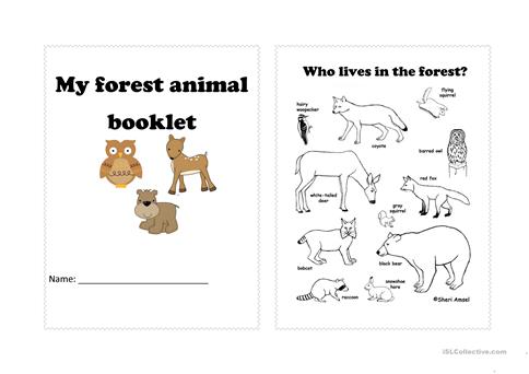 Forest Animals Worksheet