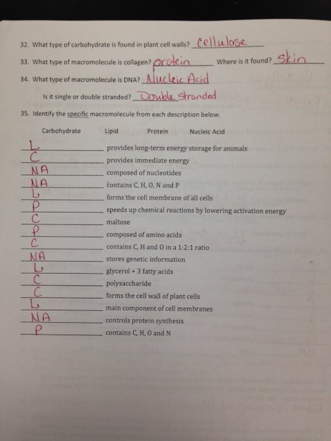 Frederick, Pam   Biology I