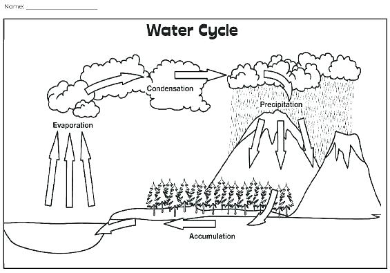 Free Photosynthesis Coloring Sheets Photosynthesis Coloring Page