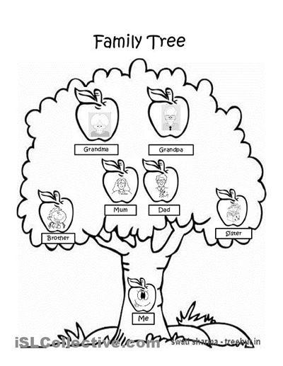 Free Worksheets Family Tree