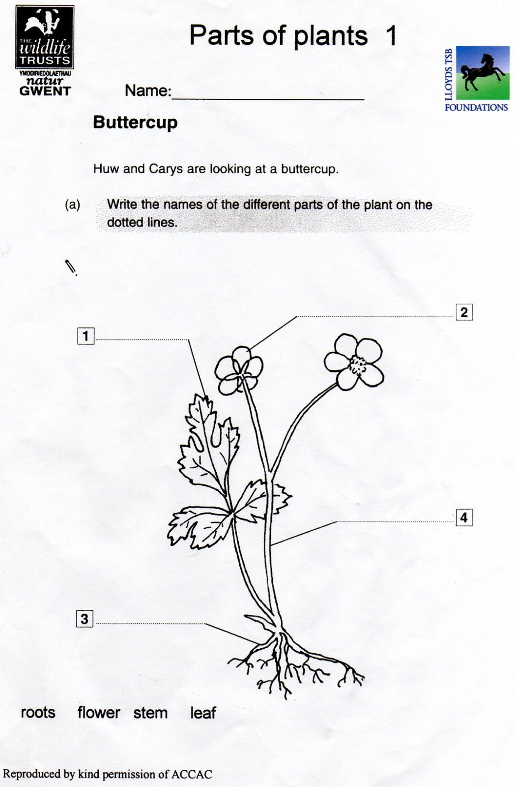 Harcourt Science Grade 1 Worksheets