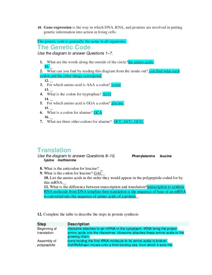Inspirational Transcription And Translation Worksheet Answers