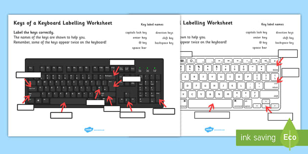 Keys Of A Keyboard Labelling Worksheet