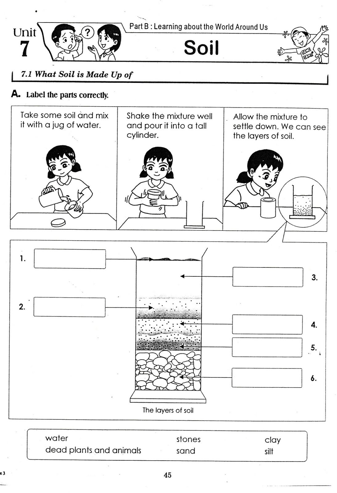 Kids  Worksheets For Grade 3 Science  Worksheets For All And Share