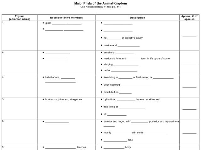 Kingdom Classification Worksheet Kingdom Classification Worksheet