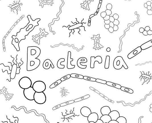 Love Coloring Books  Us Too  Choose Bacteria, Viruses, Or Protists