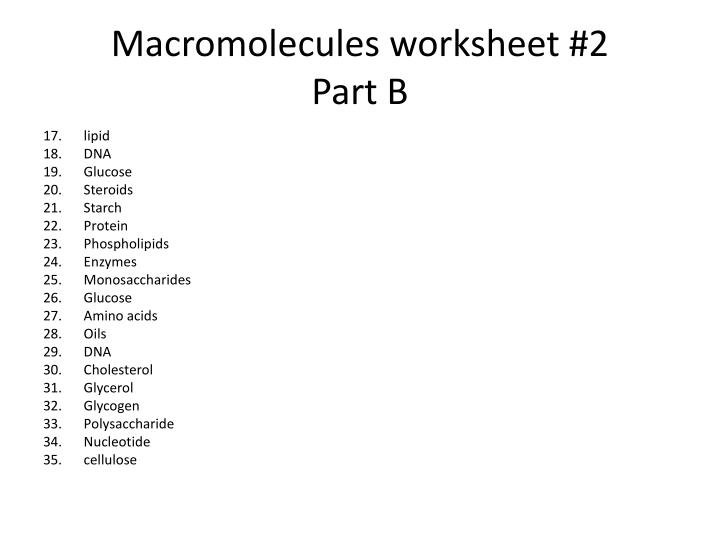Macromolecules Worksheets The Best Worksheets Image Collection
