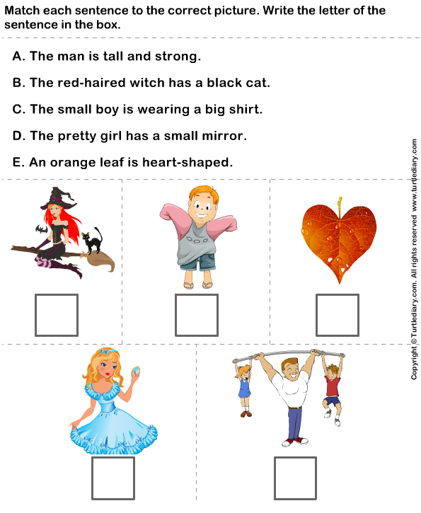Matching Pictures To Sentences Worksheets