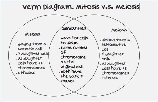 Mitosis And Meiosis Worksheet Mitosis Meiosis Worksheet Careless