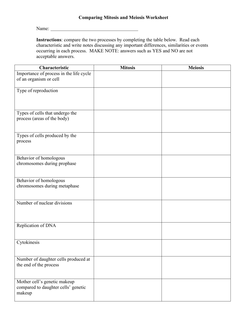 Mitosis And Meiosis Worksheets The Best Worksheets Image