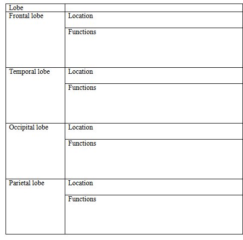 National Curriculum Unit  09 06 05