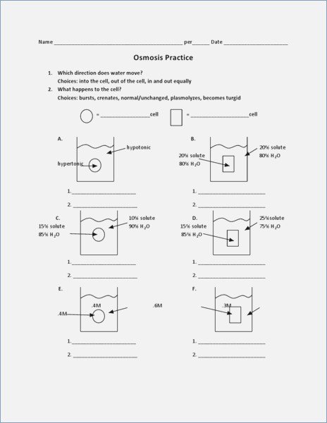 Osmosis Worksheet Answers Worksheet Template Osmosis Worksheet