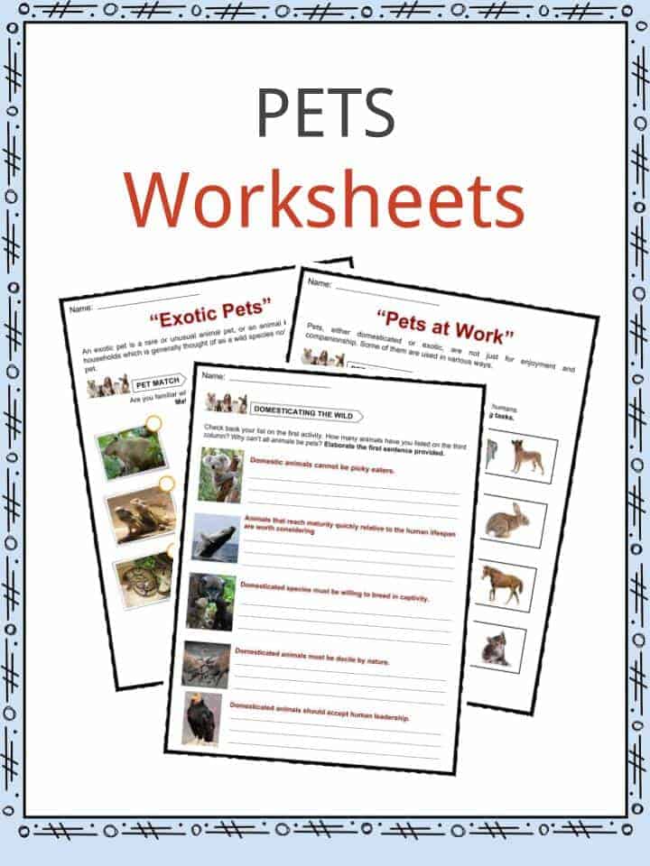 Pet Care Worksheets Kindergarten 496057