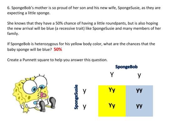 Practice Punnett Squares With Spongebob & The Gang