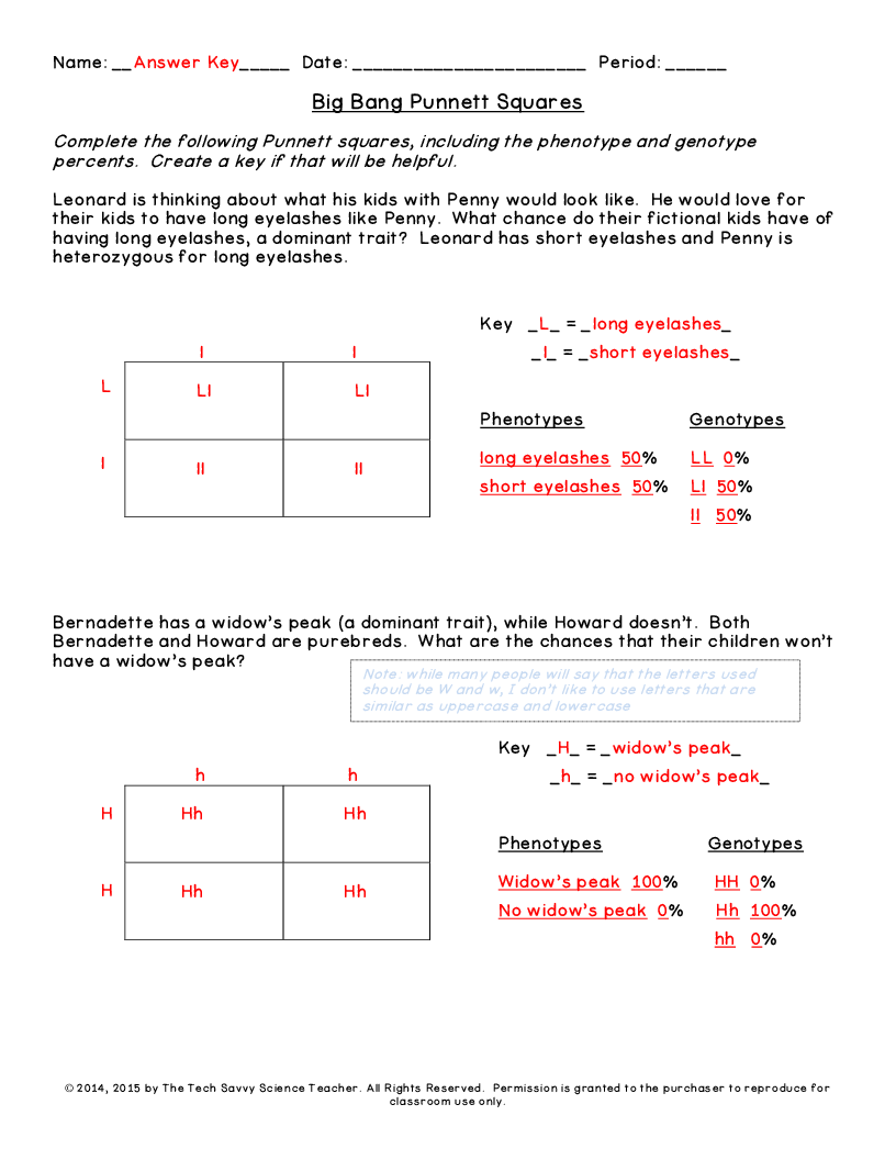 Punnett Square Worksheet With Answer Key The Best Worksheets Image