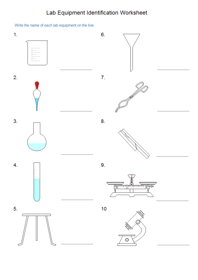 Science Lab Equipment Worksheets Middle School
