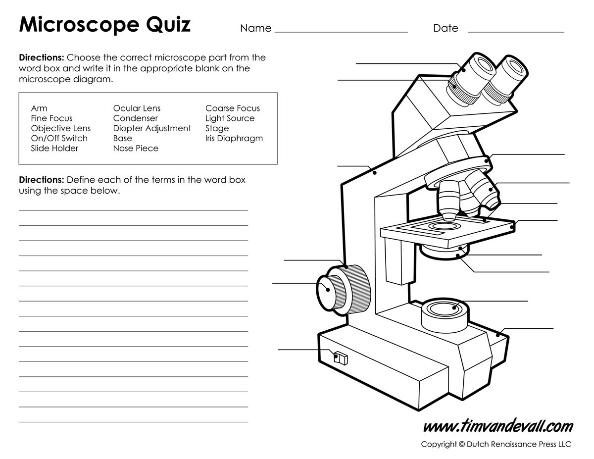 Science Spot S Kid Zone Microscope Worksheet Free Worksheets Samples