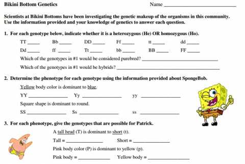 Spongebob Punnett Square Worksheet The Best Worksheets Image