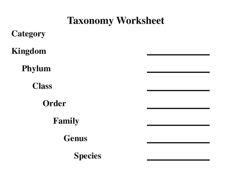 Taxonomy Classification Worksheets Taxonomy Classification Worksheets