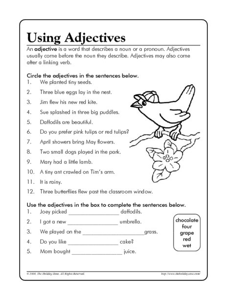 Transform Worksheets On Adjectives For 5th Grade On Adjective