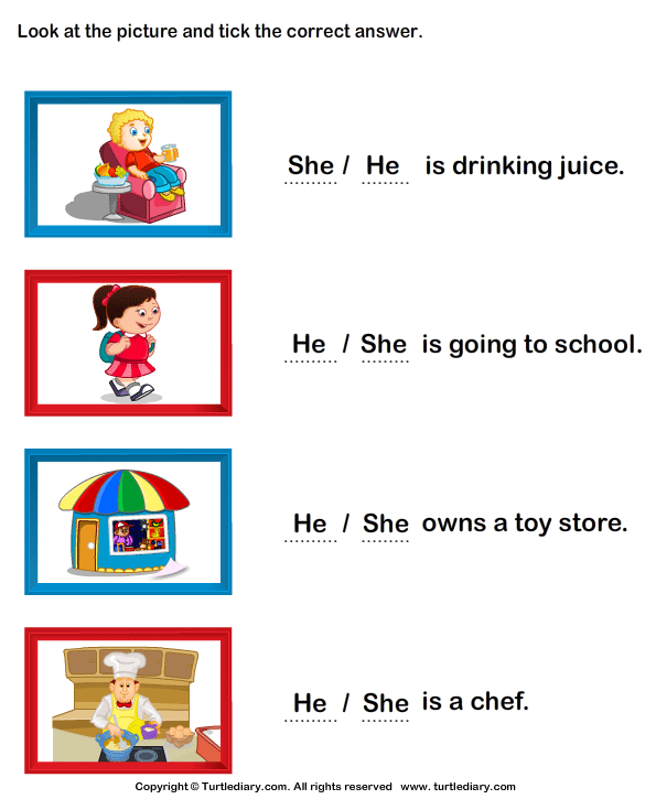 Use Of He She It Worksheets